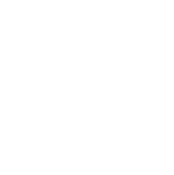 Medical Repatriation